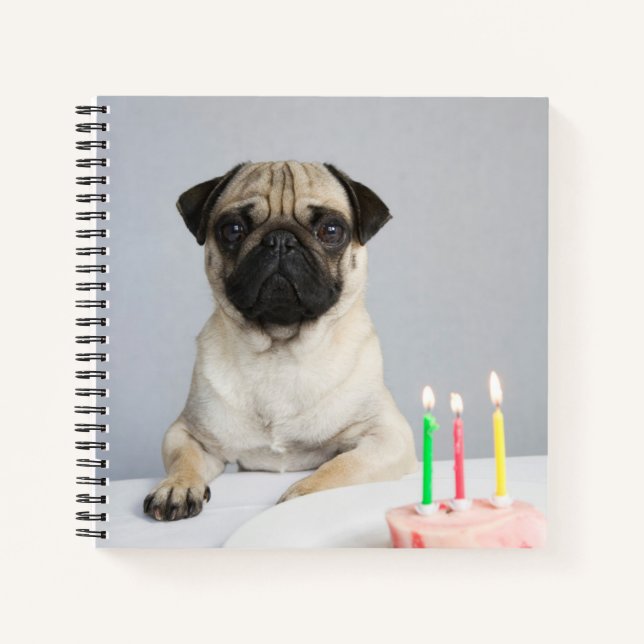 Cuaderno Pug de cumpleaños (Anverso)