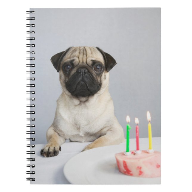 Cuaderno Pug de cumpleaños (Frente)