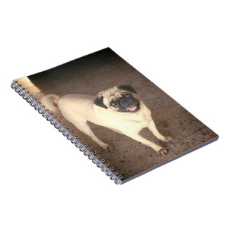 Cuaderno Pug design notebook(80 Páginas)
