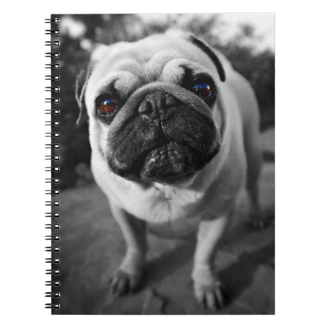 Cuaderno Pug guapo (Frente)