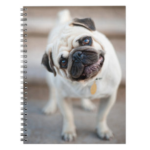 Cuaderno Pug Head Tilt