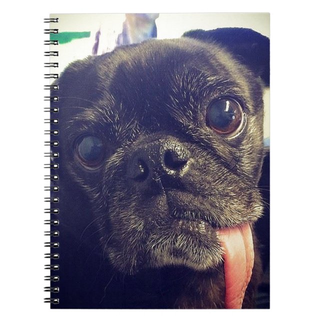 Cuaderno Pug negro (Frente)