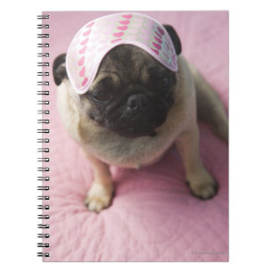 Cuaderno Pug perro con máscara ocular en la cabeza sentado