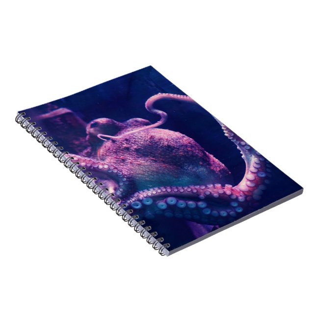 Cuaderno Pulpo (Lado Derecho)