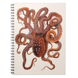 Cuaderno Pulpo Macropus, Animales Acuáticos Marinos Antiguo