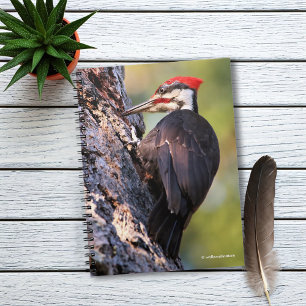 Cuaderno Pulsación de corriente hermosa de Pileated en el
