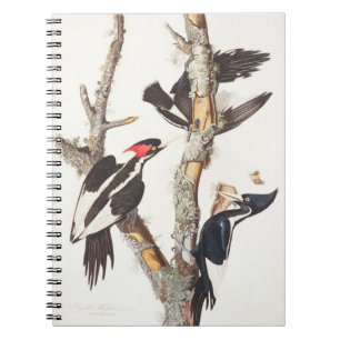Cuaderno pulsación de corriente Marfil-cargada en cuenta,
