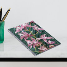 Pulverización de Orquídeas de Cimbidio Rosa Floral