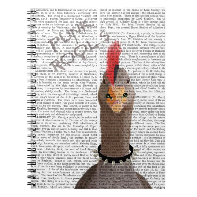 Cuaderno Punk Rock Goose (Frente)