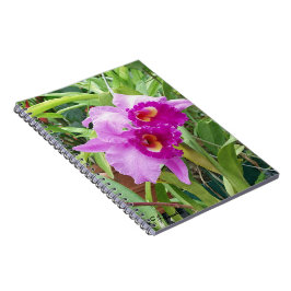 Cuaderno Purple Cattleya Orchids