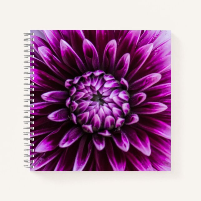 Cuaderno Purple Dahlia Heart (Anverso)