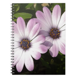 Cuaderno Purple Daisies