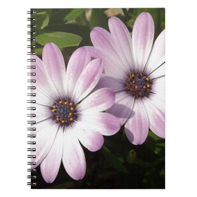 Cuaderno Purple Daisies (Frente)