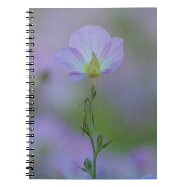 Cuaderno Purple Primrose (Frente)
