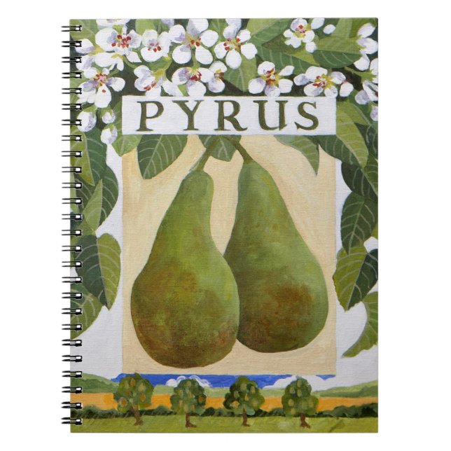 Cuaderno Pyrus (Frente)