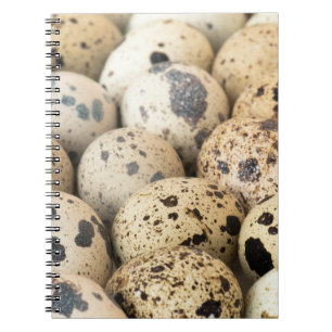 Cuaderno Quail Eggs