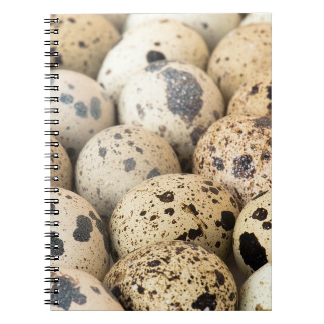Cuaderno Quail Eggs (Frente)