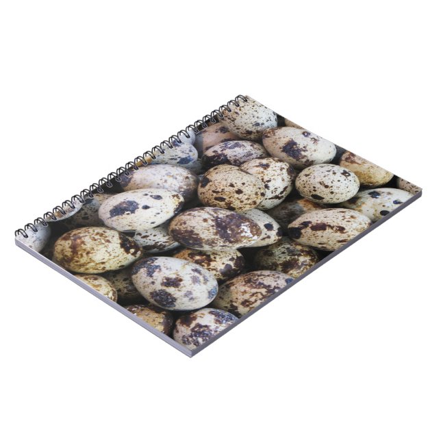 Cuaderno Quail Eggs (Lado Izquierdo)