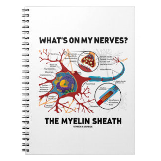 Cuaderno ¿Qué hay en mis nervios? Myelin Sheath