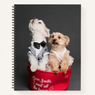 CUADERNO QUERRÉ TODOS LOS HUESOS.