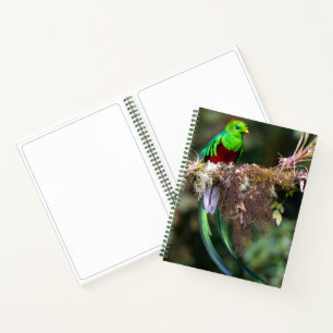 Cuaderno Quetzal Resplandeciente en el Bosque Nuboso