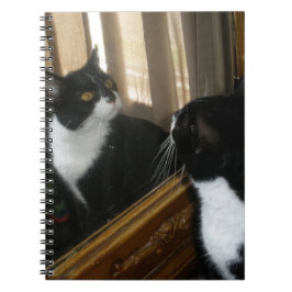 Cuaderno ¿Quién es ese individuo hermoso?