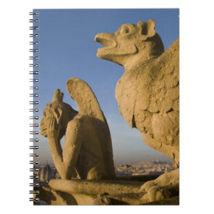 Cuaderno Quimera en la fachada de la Catedral de Notre Dame