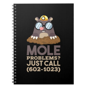 Cuaderno Química - Problemas de Mol