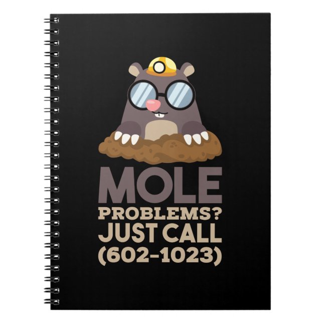 Cuaderno Química - Problemas de Mol (Frente)
