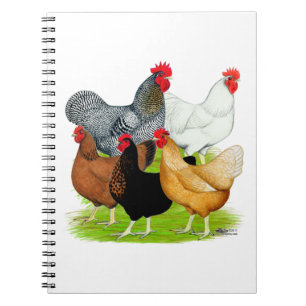 Cuaderno Quinteto de pollo vinculado al sexo