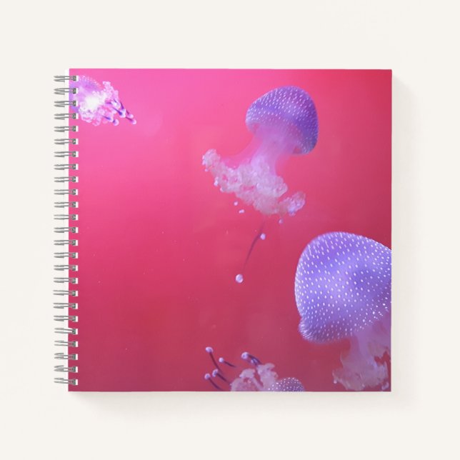 Cuaderno Quirky Jellyfish en el agua rosada (Anverso)