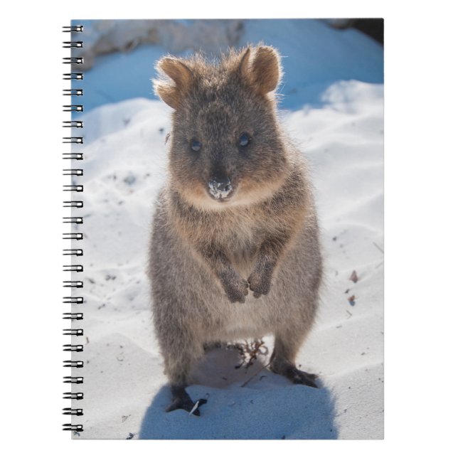 Cuaderno Quokka en la playa (Frente)