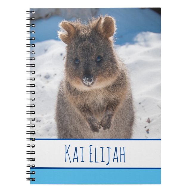 Cuaderno Quokka en la Playa, Blue Boys (Frente)
