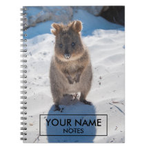 Quokka Personalizada En La Playa