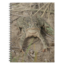 Cuaderno R10 Prairie Toad