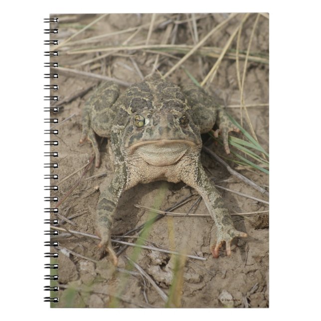 Cuaderno R10 Prairie Toad (Frente)