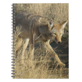 Cuaderno R14 Caminando Coyote