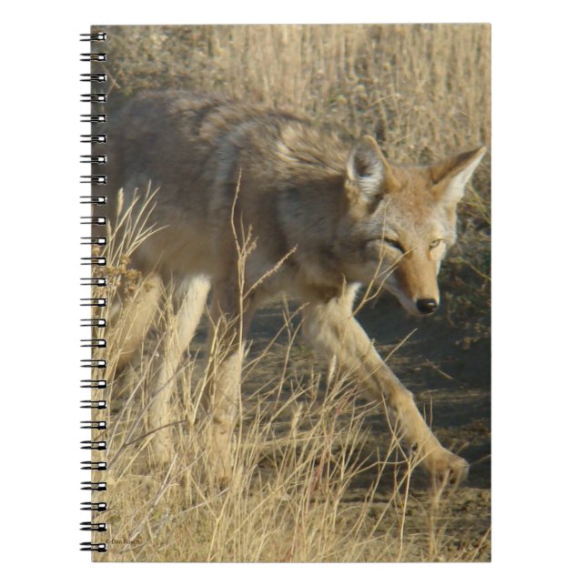 Cuaderno R14 Caminando Coyote (Frente)