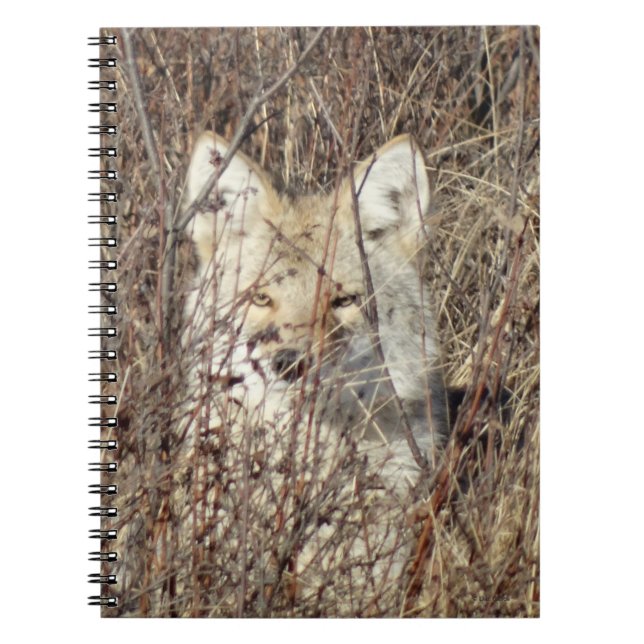 Cuaderno R21 Coyote "Te vigila" (Frente)