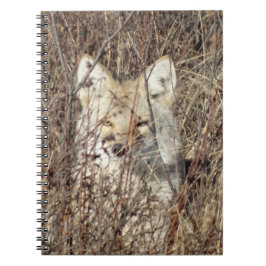 Cuaderno R21 Coyote "Vigiándote"