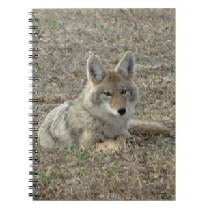 Cuaderno R22 Coyote Acostado