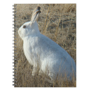 Cuaderno R25 Liebre de Nieve
