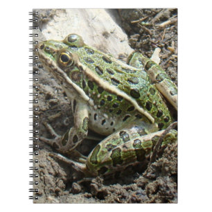 Cuaderno R3 Rana Leopardo