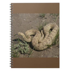 Cuaderno R6 Prairie Rattlesnake