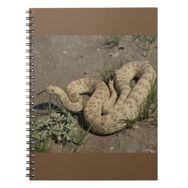 Cuaderno R6 Prairie Rattlesnake (Frente)