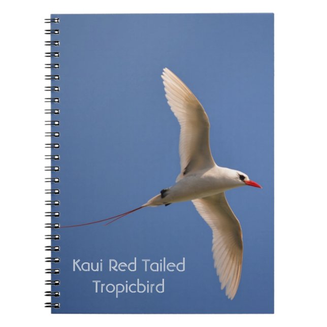 Cuaderno Rabijirón colirrojo Kauai mi fotografía (Frente)
