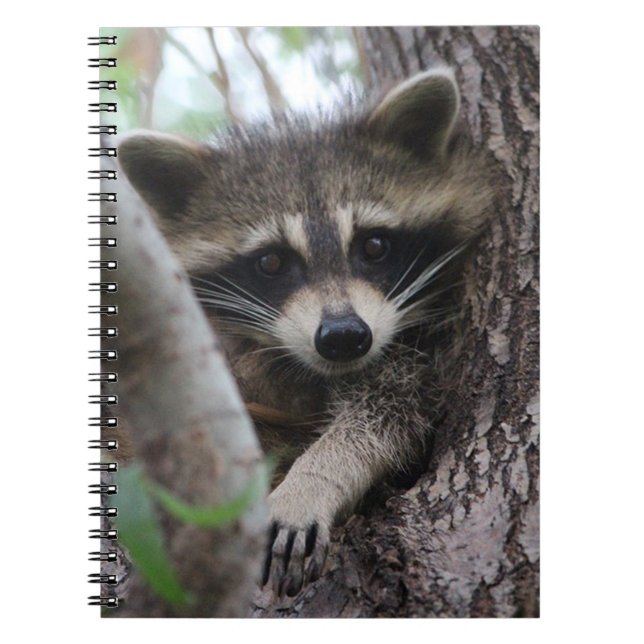 Cuaderno Raccoon (Frente)