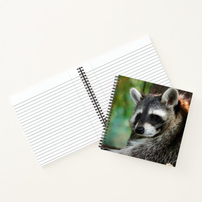 Cuaderno Raccoon 001 (Interior)