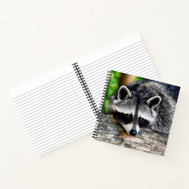 Cuaderno Raccoon 003 (Interior)