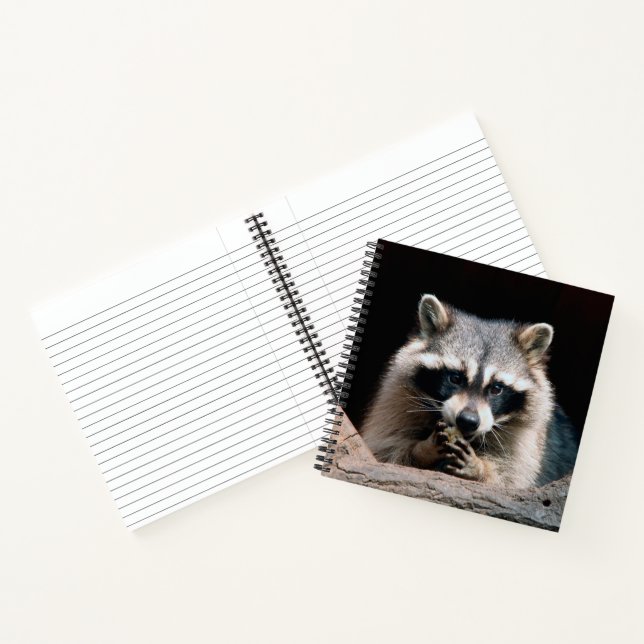 Cuaderno Raccoon 004 (Interior)